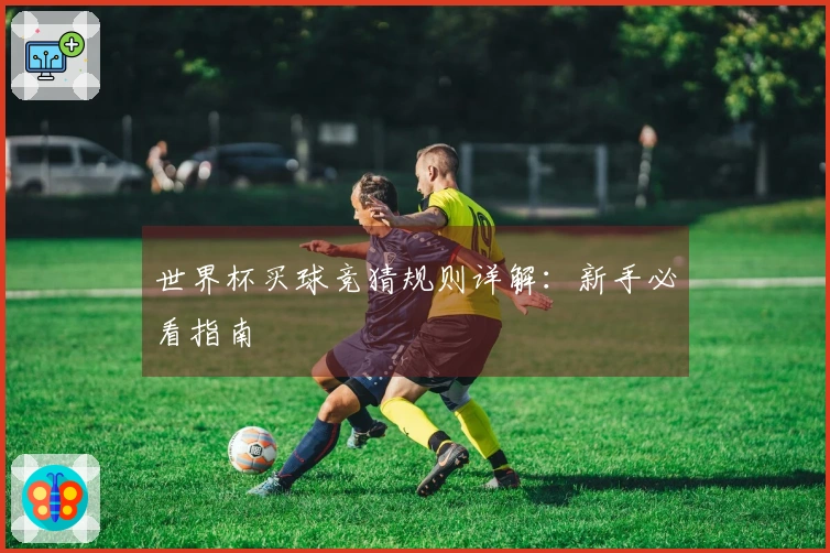 世界杯买球竞猜规则详解：新手必看指南