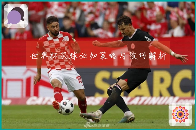 世界杯买球必知策略与技巧解析