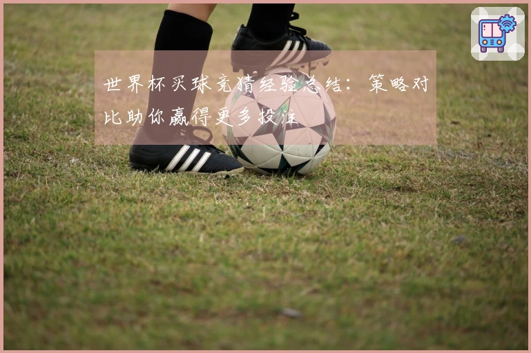 世界杯买球竞猜经验总结：策略对比助你赢得更多投注