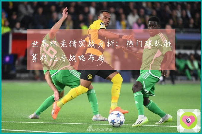 世界杯竞猜实战分析：热门球队胜算对比与战略布局