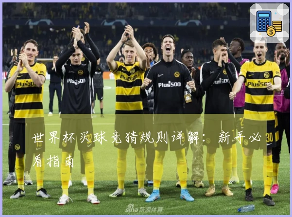 世界杯买球竞猜规则详解：新手必看指南